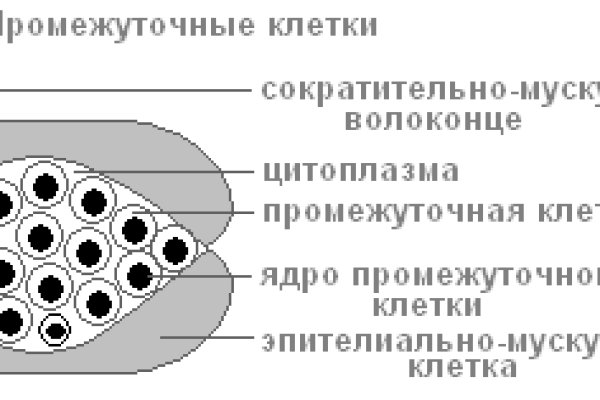 Кракен наркоторговец