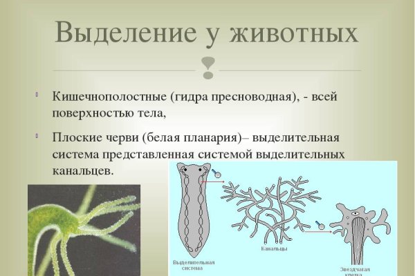 Darknet ссылки