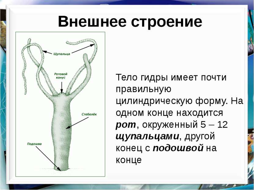 Ссылки на кракен зеркала